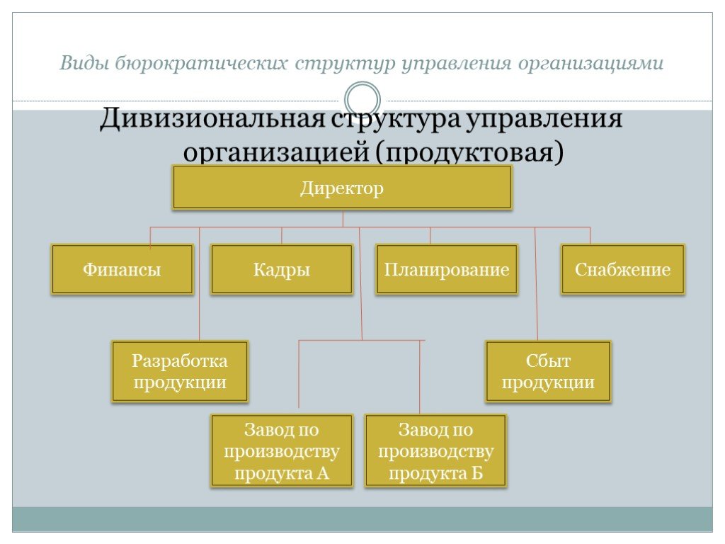 Какие есть структурные организации. Типы структур управления организацией. Организационная структура организации виды. Тип организационной структуры управления организацией. Типы организационных структур фирмы.