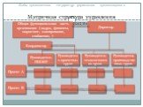 Виды органических структур управления организациями. Матричная структура управления организацией