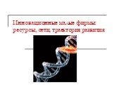 Инновационные малые фирмы: ресурсы, сети, траектория развития