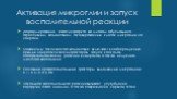 Активация микроглии и запуск воспалительной реакции. Доформирование очага инфаркта во многом обусловлено агрессивным воздействием активированных клеток микроглии на нейроны Механизмы токсического воздействия включают в себя продукцию прямых нейротоксических факторов, запуск каскадов патофизиологичес