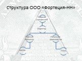 Структура ООО «Фортеция-НН»