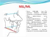 NSL/ML. Угол NSL/ML (32+-5⁰)- наклон базиса нижней челюсти к основанию черепа При увеличении угла говорят о гипердивергентном типе строения лицевого скелета или вертикальном типе развития, при уменьшении - о гиподивергентном, или или горизонтальном типе развития Если параметр в норме, говорят о норм