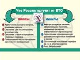 Тема «Актуальные проблемы интеграции России в мировую экономическую систему» Слайд: 9