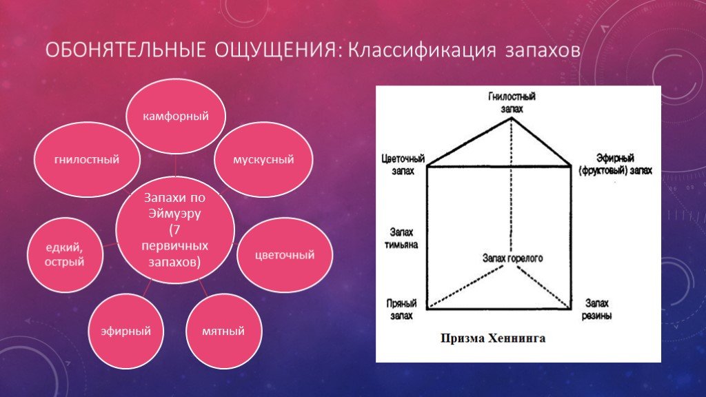 Словарь запахов проект