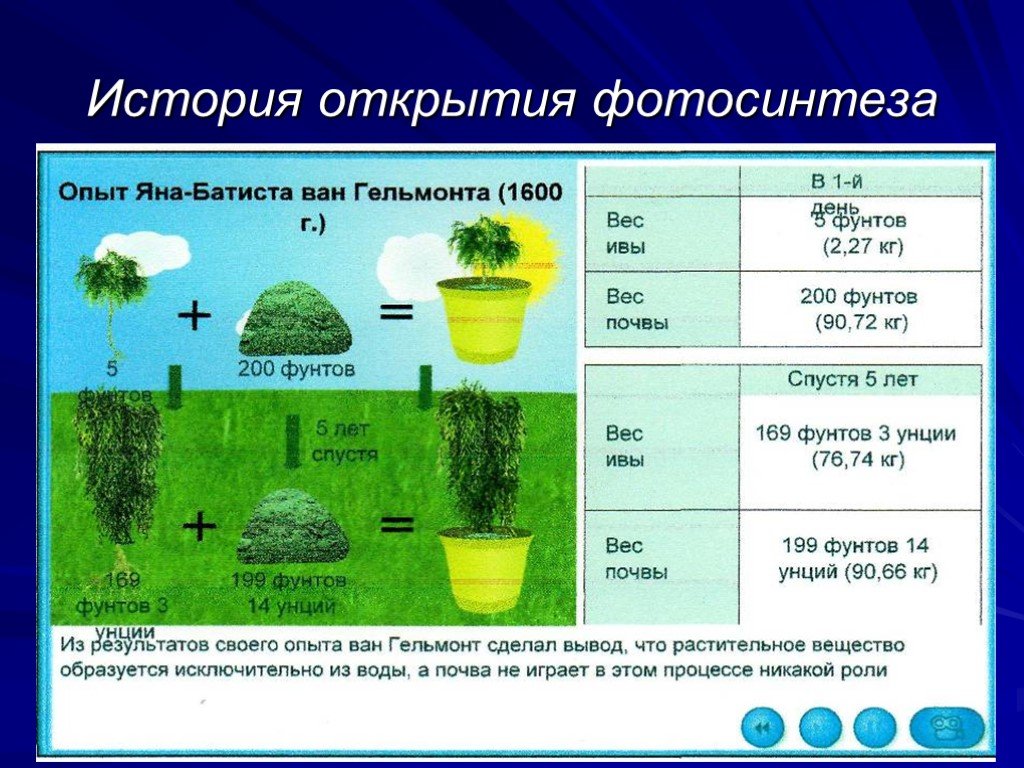 Объяснение фотосинтеза с точки зрения физики проект