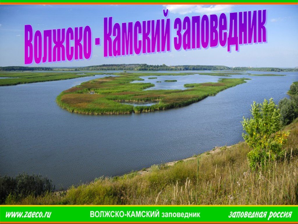 Заповедники татарстана. Раифский заповедник презентация. Волжско-Камский заповедник презентация. Информация о заповедниках Татарстана.