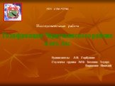 ГОУ СПО ЧГПК Исследовательская работа Газификация Чернушинского района и его лес. Руководитель: Л.Н. Горбунова Студенты группы №34: Заманов Эдуард Ворожцов Николай