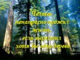 Человек ненапрасно прожил жизнь, если вырастил хотя бы одно дерево