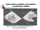 Белые знамёна, жалованные Екатериной II черноморским казакам. Самая ценная и значимая часть регалий -это войсковые знамёна