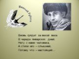 Вновь грядет за вехой веха В череде январских дней. Нету с нами человека, А стихи его – слышней, Потому что – настоящий…