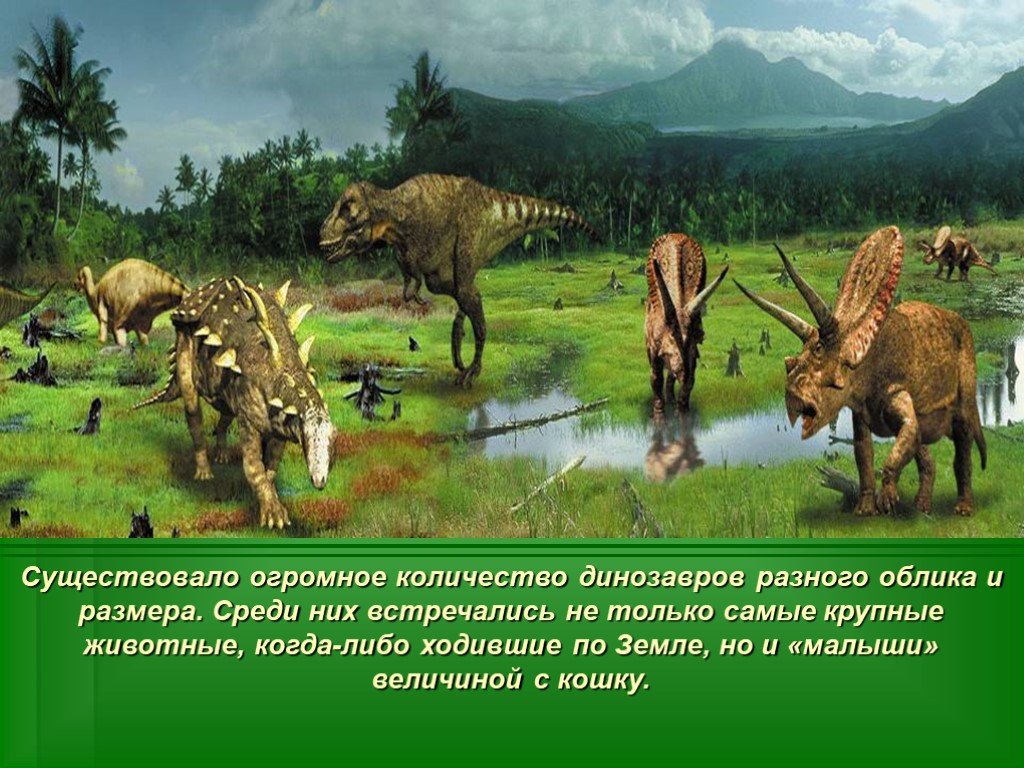 Число динозавров. Самое большое количество крупных животных на земле характерно для. Динозавры численность в прогрессии. Самое большое существо которое когда либо существовало на земле. Сравни количество динозавров и Мамонтов.