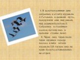 1. В золотые осенние дни собрались к отлёту журавли. 2. Готовясь в далёкий путь, покружили они над рекой, над родным болотом. 3. Собрались в стройные косяки, потянулись в дальние страны на юг. 4. Через леса, через поля, через шумные города высоко в небе летели журавли. 5.В глухом лесу, на краю болот