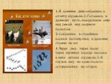 1. В осенние дни собрались к отлёту журавли. 2. Готовясь в далёкий путь, покружили они над рекой над родным болотом. 3. Собрались в стройные косяки потянулись в дальние страны на юг. 4. Через леса через поля через шумные города высоко в небе летели журавли. 5. В глухом лесу на краю болота остановили