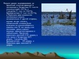Подъем уровня водохранилища до проектной отметки приведет к затоплению в Татарстане 43 тыс.га сельхозугодий ( 0,9 %), в Удмуртии-13 тыс. га ( 0,6 %), Башкортостане-15 тыс. га ( 0,2 %), в Пермском крае количество затопленных земель незначительно. С другой стороны, идущие на дно земли в значительной с