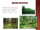Лісові ресурси. Площа земель лісового фонду – 121,9 тис. га (1,1 % загальної лісової поверхні України). Коефіцієнт лісистості – 4,5%.