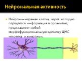 Нейрональная активность. Нейрон — нервная клетка, через которую передается информация в организме, представляет собой морфофункциональную единицу ЦНС человека и животных.