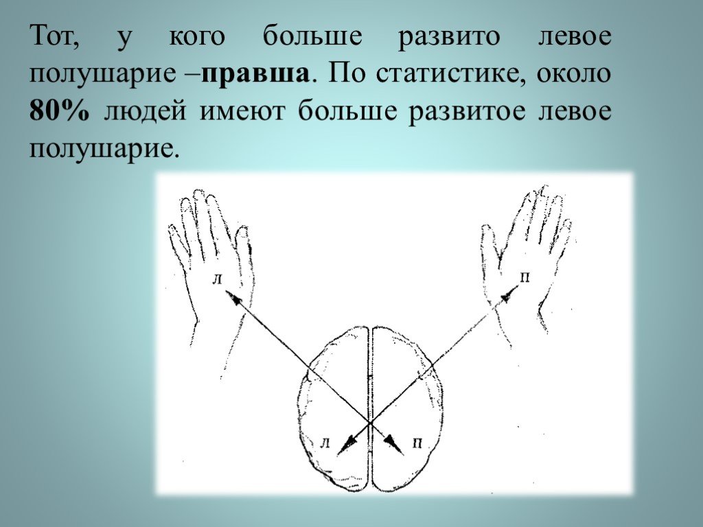 Левое полушарие какая рука. Полушария и руки. Упражнения для определения доминирующего полушария. Задания на взаимодействие полушарий. Определение ведущего полушария мозга.