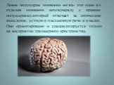 Левое полушарие головного мозга- это один из отделов головного мозга(наряду с правым полушарием),который отвечает за логическое мышление, устную и письменную речь и анализ. Оно ориентировано и специализируется только на восприятии трехмерного пространства.
