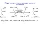 Общая реакция пируватдегидрогеназного комплекса