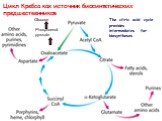 Цикл Кребса как источник биосинтетических предшественников. The citric acid cycle provides intermediates for biosyntheses