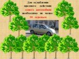 Для ослабления вредного действия одного автомобиля необходимо не менее 10 деревьев