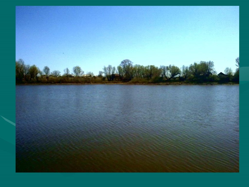 Водоемы 6 букв. Озеро Шаганино Духовницкое. Водоём на 6 гектак. Пруды 6 класс 8 вида. Город Красноуральск как придти на Левенский пруд.