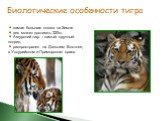самая большая кошка на Земле вес может достигать 320кг. Амурский тигр – самый крупный подвид. распространен на Дальнем Востоке, в Уссурийском и Приморском краях. Биологические особенности тигра
