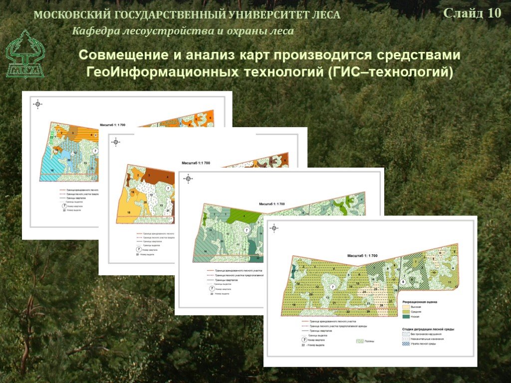 Проект освоения лесов для осуществления рекреационной деятельности