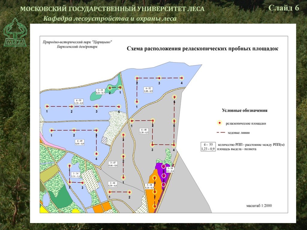 Карта рекреационной нагрузки