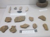 Отдел археологии: эпоха камня Слайд: 11