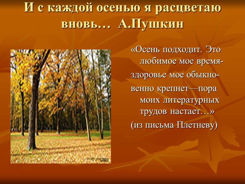 Осенний отрывок. Стихотворение Пушкина про осень. Пушкин стихи про осень.