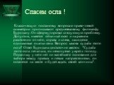 Спасем осла ! Классическую постановку вопроса о право-левой симметрии приписывают средневековому философу Буридану. Он сформулировал следующую проблему. Допустим, имеется обычный осел и на равном расстоянии от него, справа и слева, находятся одинаковые охапки сена. Вопрос: какова судьба этого осла? 