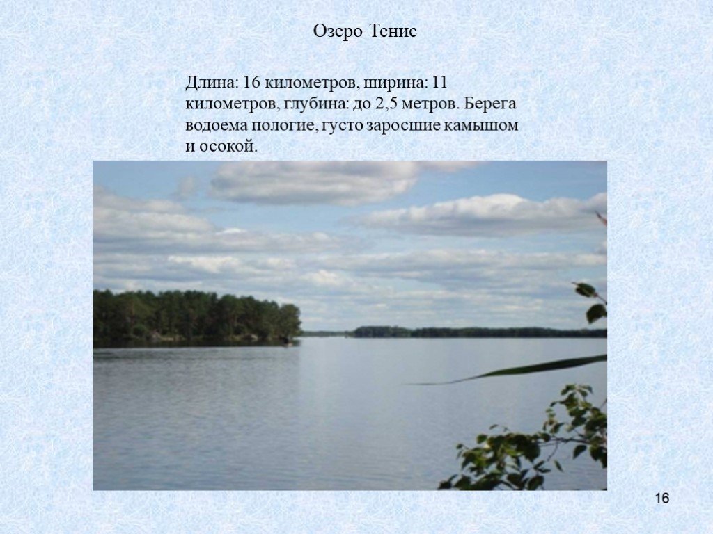 Длина озера. Густой камыш окружает голубое 3 озеро 4. Стих небольшое озеро заросло осокой. Озеро теннис доклад. Сколько километров в длину озеро тенис.