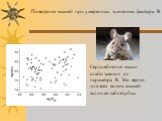Поведение мышей при умеренных значениях фактора R. Сердцебиение мыши слабо зависит от параметра R. Это верно для всех видов мышей, включая саблезубых