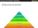 Пирамида потребностей Маслоу. A.H. Maslow, A Theory of Human Motivation, Psychological Review 50(4) (1943):370-96.