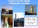 Строительство завода «Кавикорм» сегодня. Готовится к вводу 1-я линия в с.Лебяжье Объём инвестиций 75 млн. руб.