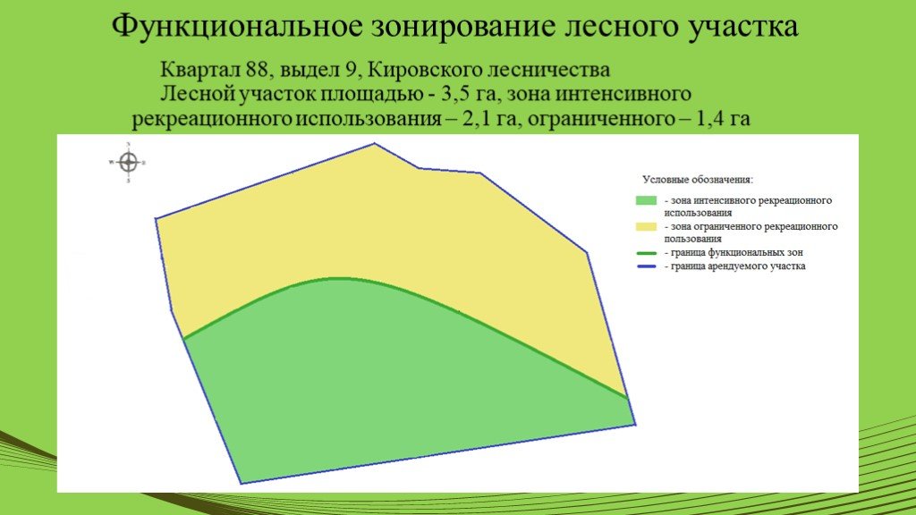 Тематическая лесная карта в проекте освоения лесов