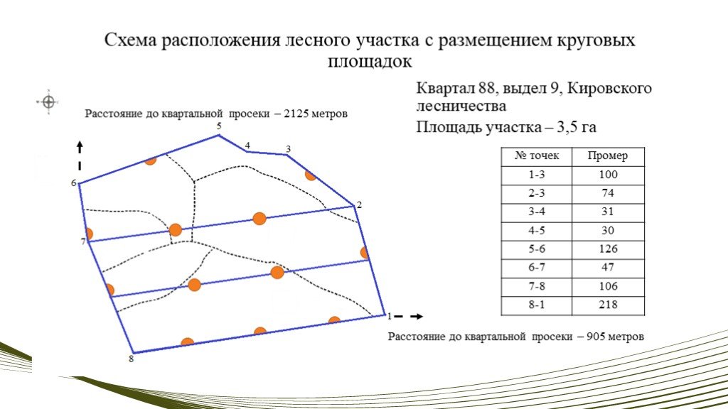 Схема отвода лесосек