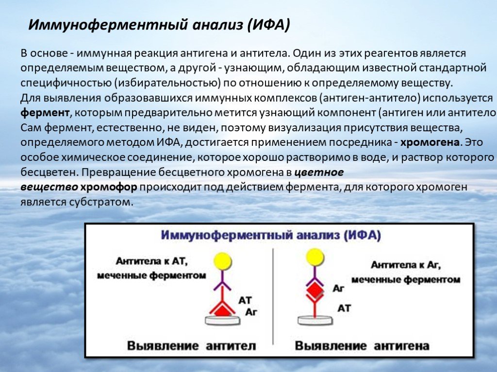 Сыворотка крови методом ифа. ИФА составляющие реакции. Метод иммуноферментного анализа (ИФА).. Основной принцип ИФА. Иммуноферментный анализ компоненты реакции.