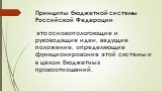 Принципы бюджетной системы Российской Федерации. это основополагающие и руководящие идеи, ведущие положение, определяющие функционирование этой системы и в целом бюджетных правоотношений.