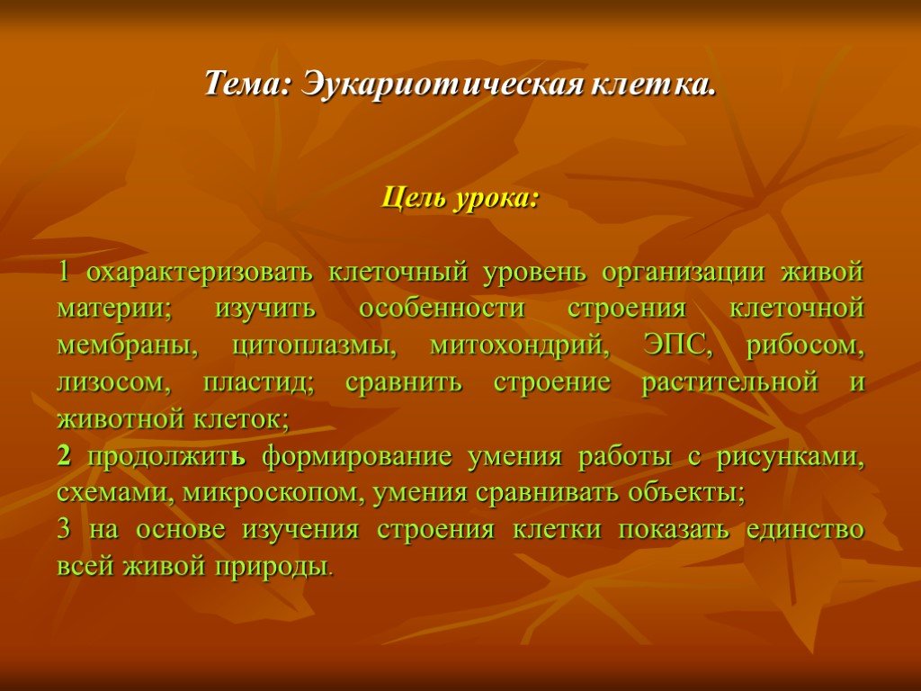 Цель клеток. Строение клетки цель работы изучить особенности. Клетка цел. Цель клеточной системы.