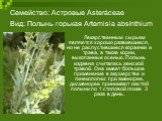 Семейство: Астровые Asteráceae Вид: Полынь горькая Artemisia absinthium. Лекарственным сырьем являются хорошо развившиеся, но не распустившиеся корзинки и трава, а также корни, выкопанные осенью. Полынь издавна считалась женской травой. Она имеет большое применение в акушерстве и гинекологии: при ам