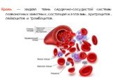 Кровь — жидкая ткань сердечно-сосудистой системы позвоночных животных, состоящая из плазмы, эритроцитов, лейкоцитов и тромбоцитов.