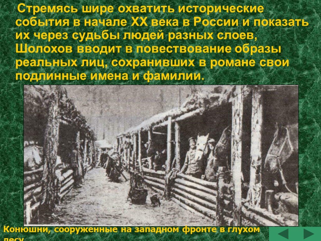 Как отражается история в судьбах людей. Тихий Дон исторические события. Тихий Дон реальные исторические события. Исторические события в тихом Доне Шолохова. Исторические события в романе тихий Дон.