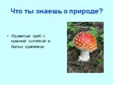 Ядовитый гриб с красной шляпкой в белых крапинках