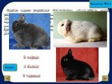 Окраска шерсти у кроликов определяется двумя парами генов, расположенных в разных хромосомах. При наличии доминантного гена С, доминантный ген А другой пары обуславливает серую окраску шерсти, рецессивный ген а – черную окраску. В отсутствии гена С окраска будет белая. Кролики какого цвета получатся
