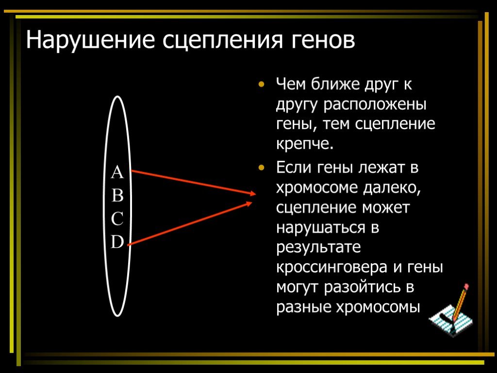 Нарушение сцепления. Какие процессы могут нарушать сцепление генов. Сцепление генов нарушает. Нарушение сцепления кроссинговер. Процесс нарушающий сцепление генов это.