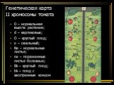 Генетическая карта II хромосомы томата. D – нормальная высота растения; d – карликовые; O – круглый плод; o – овальный; Ne – нормальные листья; ne – пораженные листья болезнью; Bk – круглый плод; bk – плод с заостренным концом