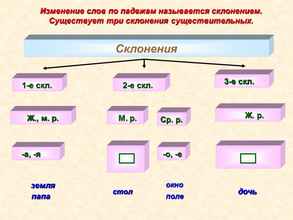 Падеж и склонение имен существительных 5 класс презентация