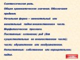 Синтаксическая роль. Общее грамматическое значение. Обозначает предмет. Начальная форма – именительный или винительный падеж множественного числа. Морфологические признаки. Постоянные: склонение; род (для существительных во множественном числе); число; одушевленное или неодушевленное. Непостоянные: 